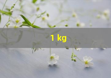 1 kg